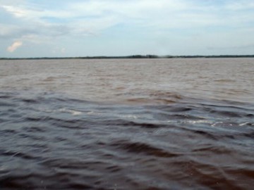 Nadando no Encontro das Águas em Manaus