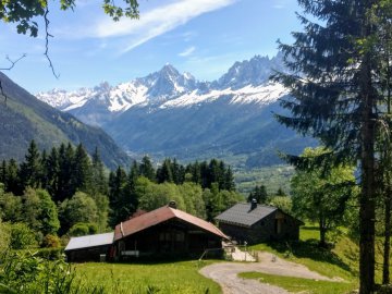 Tuor du Mont Blanc no modo super econômico