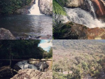 Trekking Serra do Mar Curitiba x Morretes