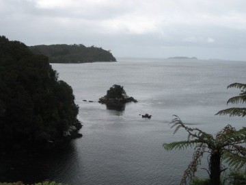 When in New Zealand!