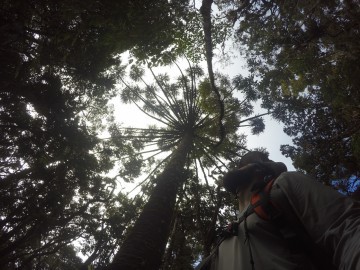Travessia solo da Serra Negra em dois dias.