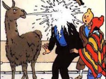 Levando os Franceses para Passear nos Andes