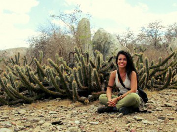 Perambulando por Pernambuco