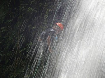 Canyon Molha Bolacha