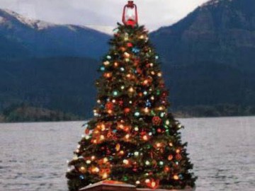 Só para descontrair...e lembrar que o Natal volta logo! :)