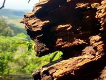 Complexo do Voturuna  (Aquatrekking)