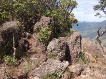 Pico Queixo D' Anta