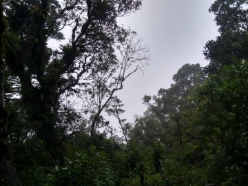 Circuito Pico Do Garrafão