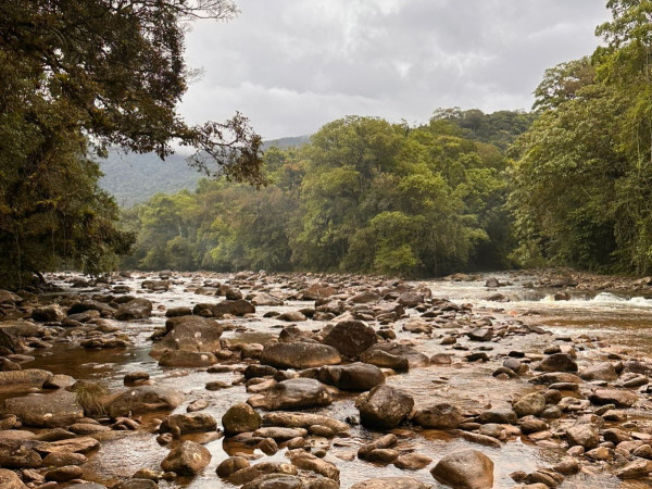 PESM: Núcleo Curucutu