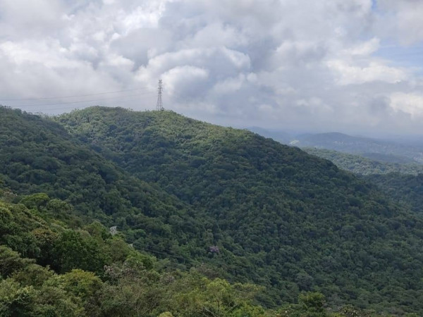 PNM Pedroso: Circuito Bonilha x Pedroso