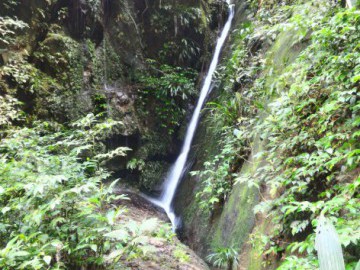 Rio Quilombo e subida pelo Rio Mogi