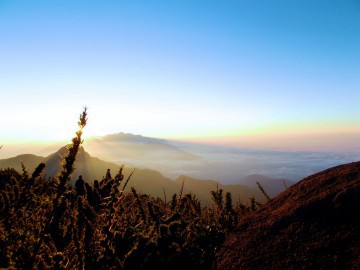 Pico dos Marins - Solo