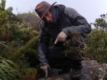 PICO PARANA