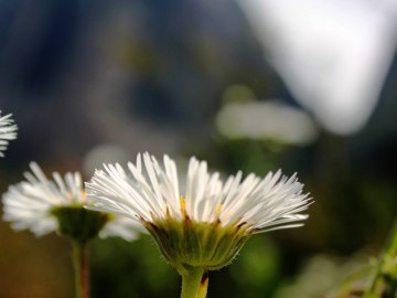 Parque Estadual Três Picos