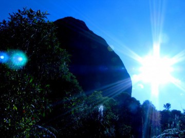 Pico do Papagaio - Aiuruoca - MG