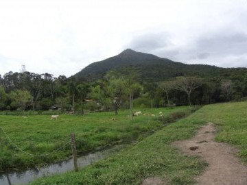 Hiking Morro do Cambirela