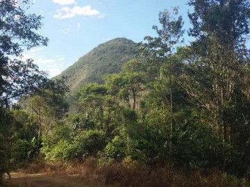 ATAQUE DE INSANOS 2 -PICO DO GARRAFÃO