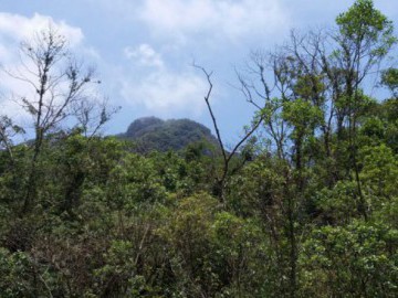 ATAQUE DE INSANOS 3 - PICO DO GAVIÃO E O CANTO DA ARAPONGA