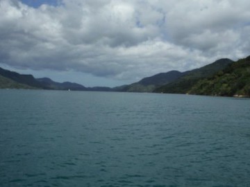 Remando de Paraty-Mirim ao Saco do Mamanguá