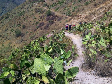 Cânion del Colca - Peru