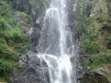 Trilha da Ferradura - Paranapiacaba