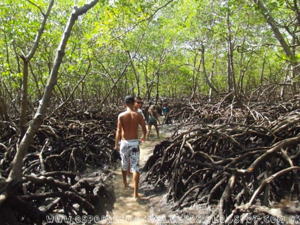 CAMINHADA PELA ILHA DE BOIPEBA - CAIRU, BAHIA.