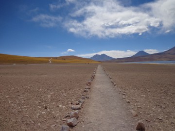 DESERTO DO ATACAMA -LAGUNAS ALTIPLANAS