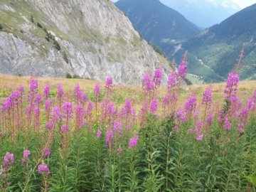 Trilhando o Tour du Mont Blanc (TMB) 2019