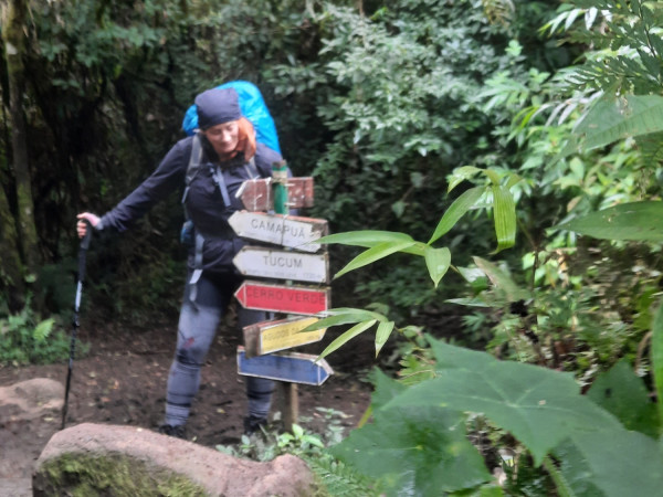 PICO CAMAPUÃ e TUCUM