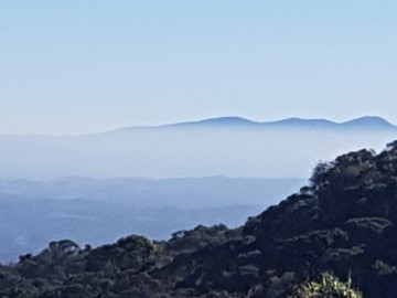 Anhangava em família