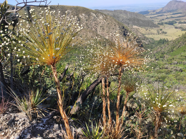 Ultra Travessia 200 km - Serra da Canastra - MG