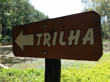 Horto florestal Tupi- Piracicaba