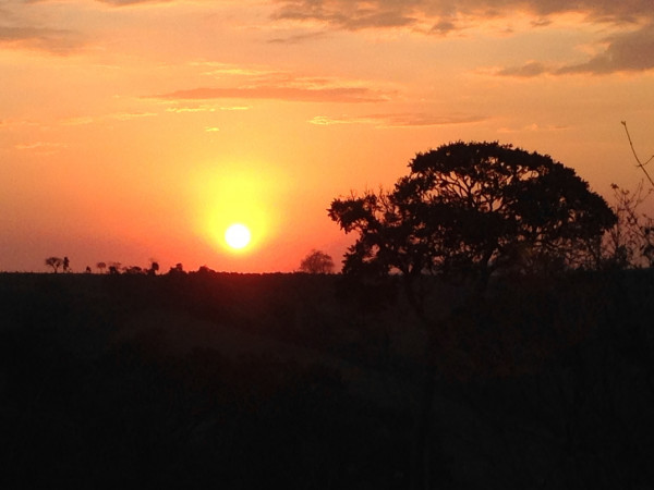 Acampamento selvagem com Pedro