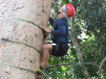 Trilha com obstáculos, Tree Climbing e Tirolesa