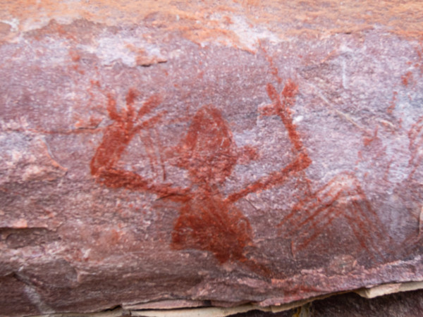 Serra da Chapadinha: O Lado Selvagem do PNCD