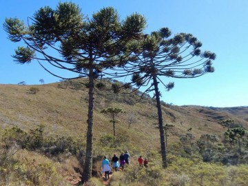 TREKKING NO VALE DAS ARAUCÁRIAS EM MG