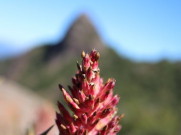 Pico do Lopo - Extrema / MG