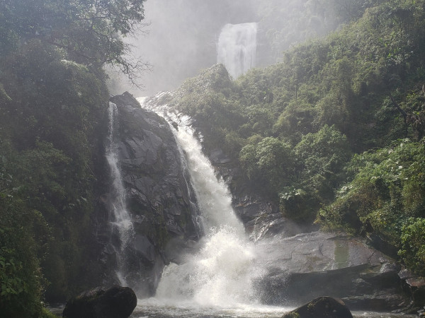 Trilha do Ouro | Caminho de Mambucaba - PNSB