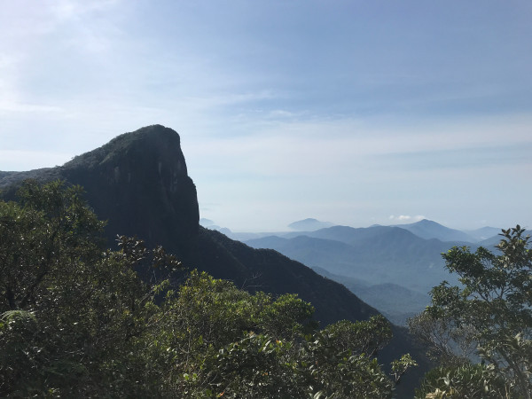 Corcovado de Ubatuba