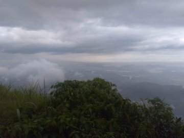 Trilha na Estrada Velha de Santos