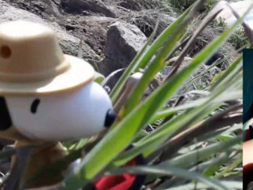 Lagoinha do Leste direto no Morro da Coroa