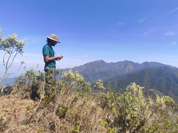Pedra do Registro e Cabeça de Leoa -PNI
