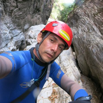 Ion David