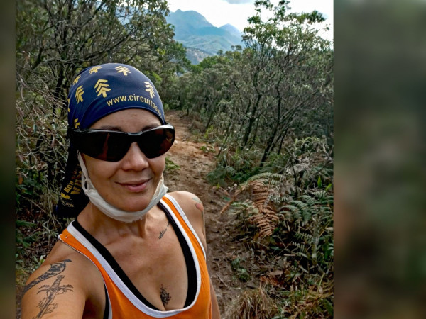 Bromélias - Onça - Tartaruga