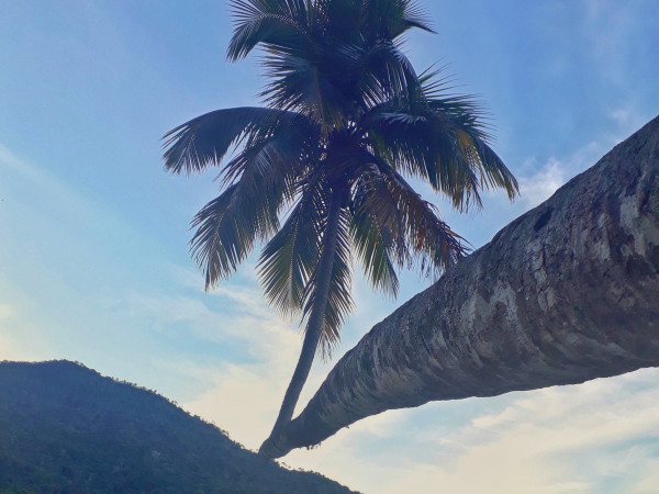 Volta Completa Ilha Grande - Rj