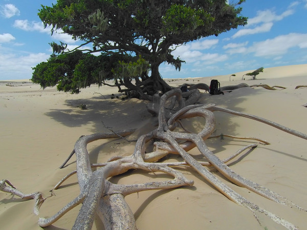 Travessia Cassino - Barra do Chuí