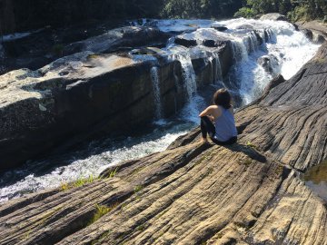Parque Estadual Serra Do Mar - Núcleo Santa Virgínia