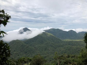 Morro Pelado - Joinville