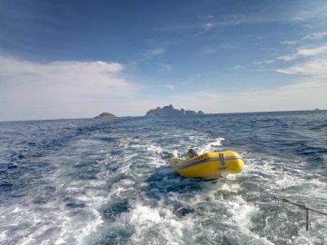 Mergulho - Arquipélago de Alcatrazes SP - 2019-04-19