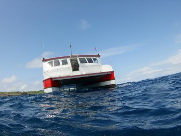 Mergulhos em Fernando de Noronha - 2019-12-20a26